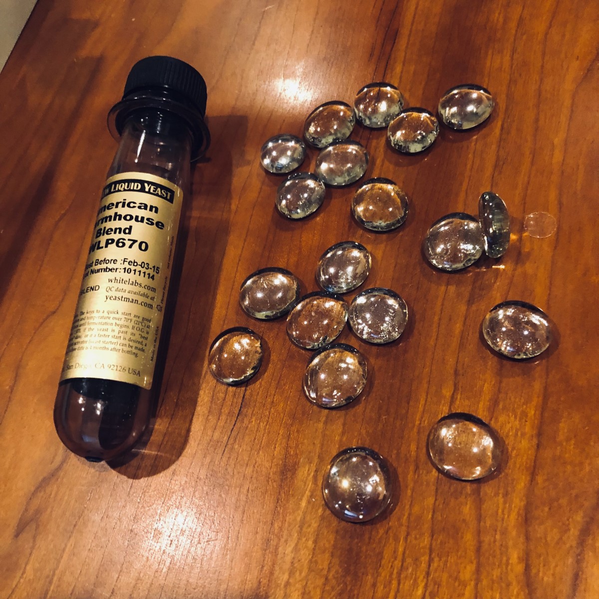 About 20 decorative glass beads on table,, next to plastic vial labeled "White Labs WLP670"