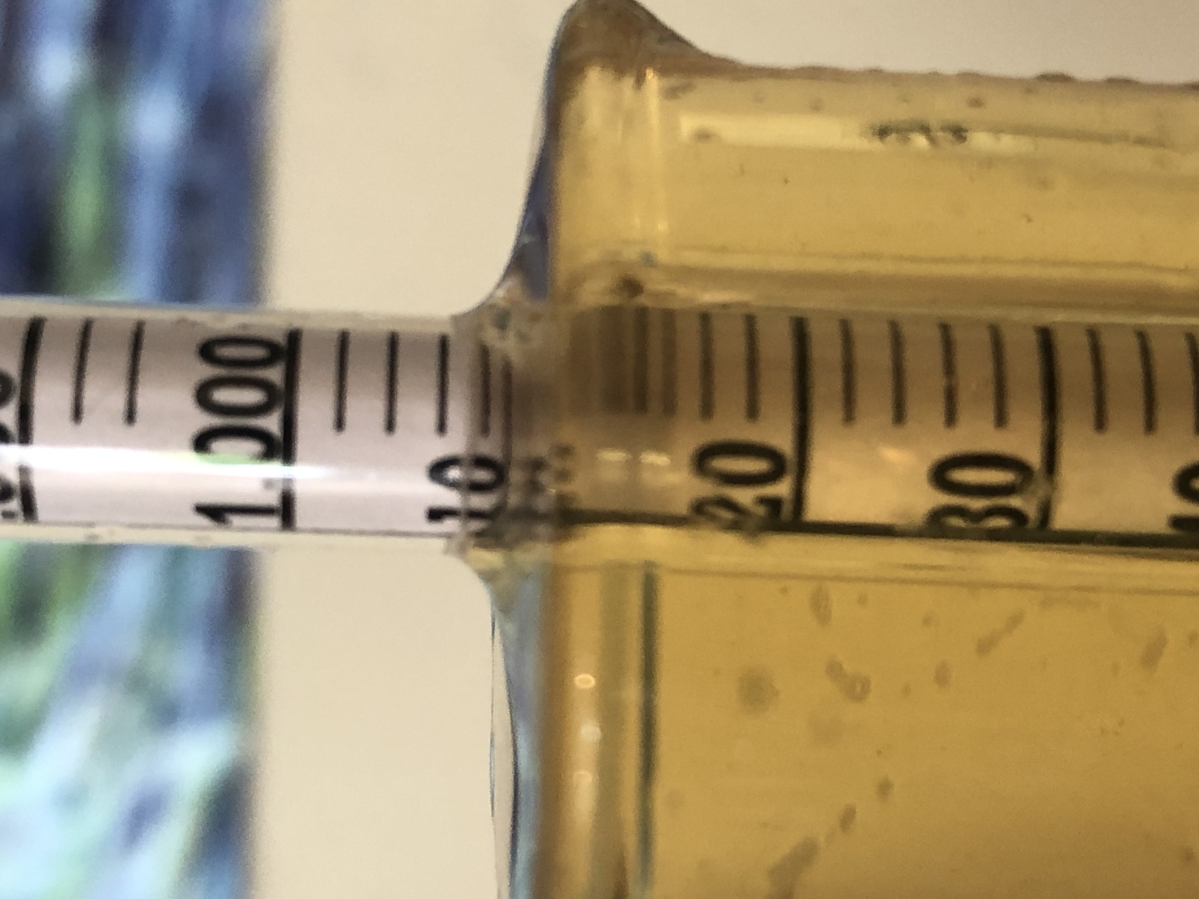 Extreme closeup of hydrometer in wort sample