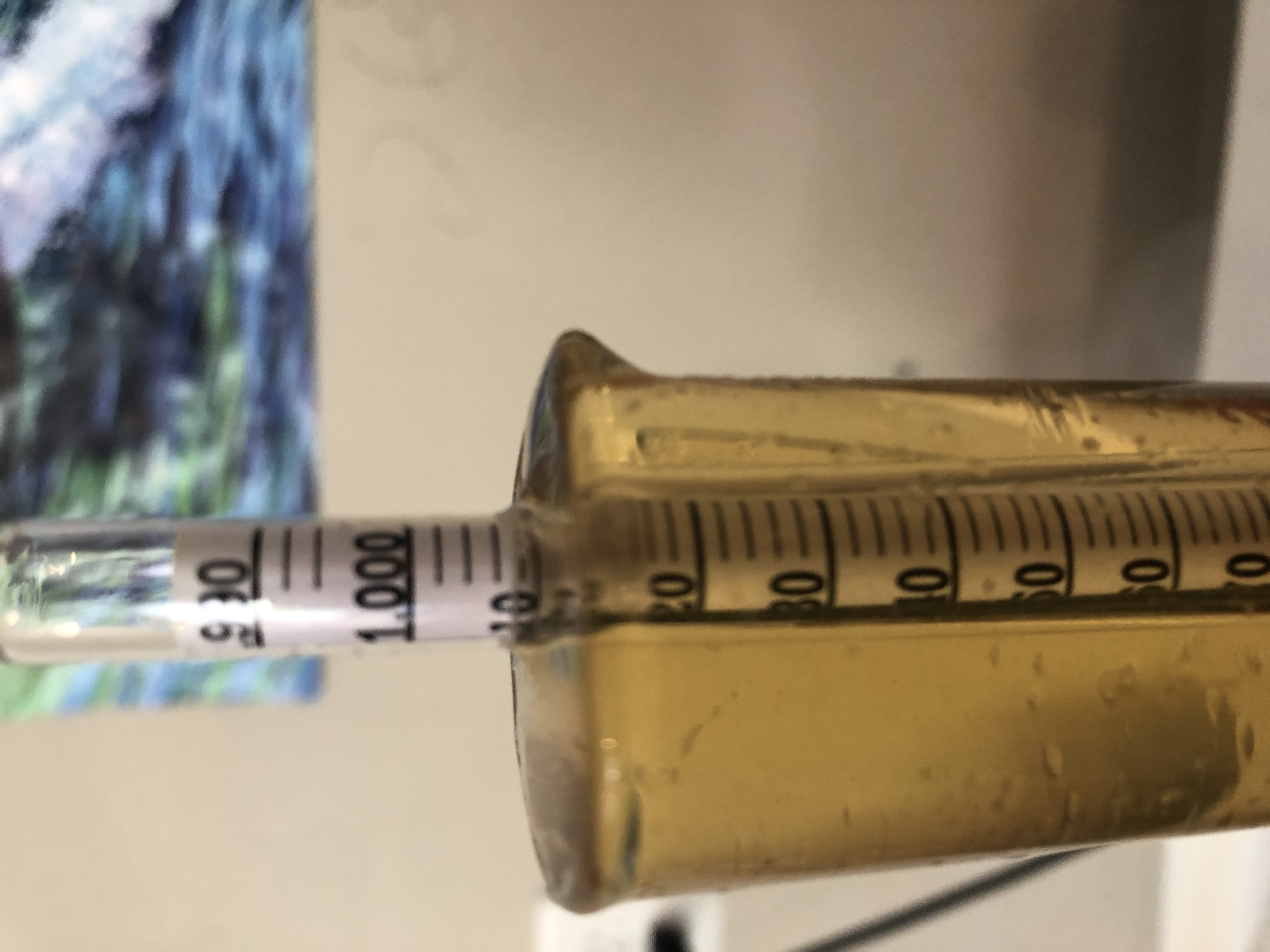 Good closeup view of hydrometer scale in wort sample